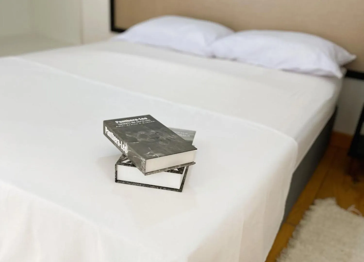 Atenas - Lofts Com Cozinha - Proximo Aeroporto E Rodoviaria ポルトセグロ アパート